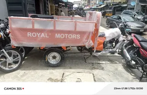 New Royal Motorcycle 2025 Orange
