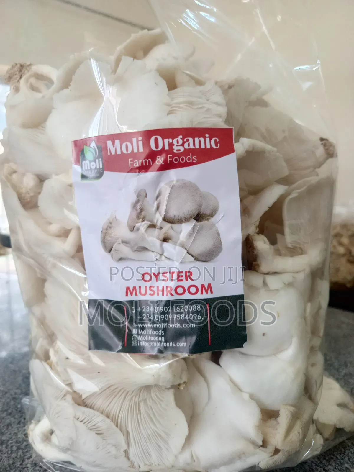 Molifoods Mushroom