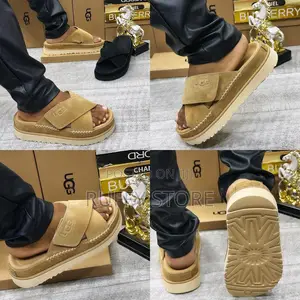 Black Carton Palms/Footwear