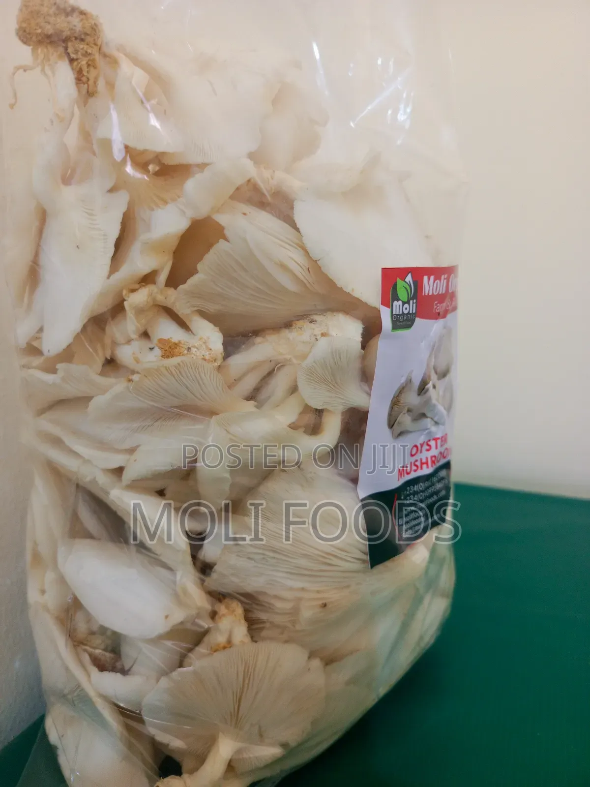 Molifoods Mushroom