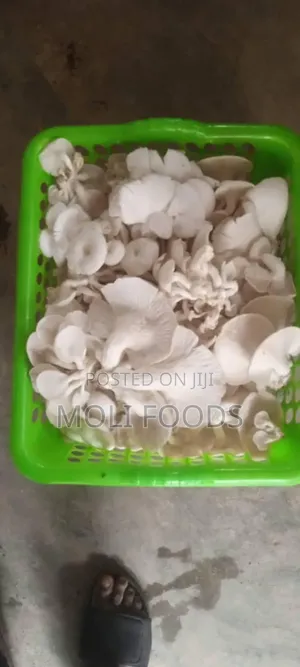 Molifoods Mushroom