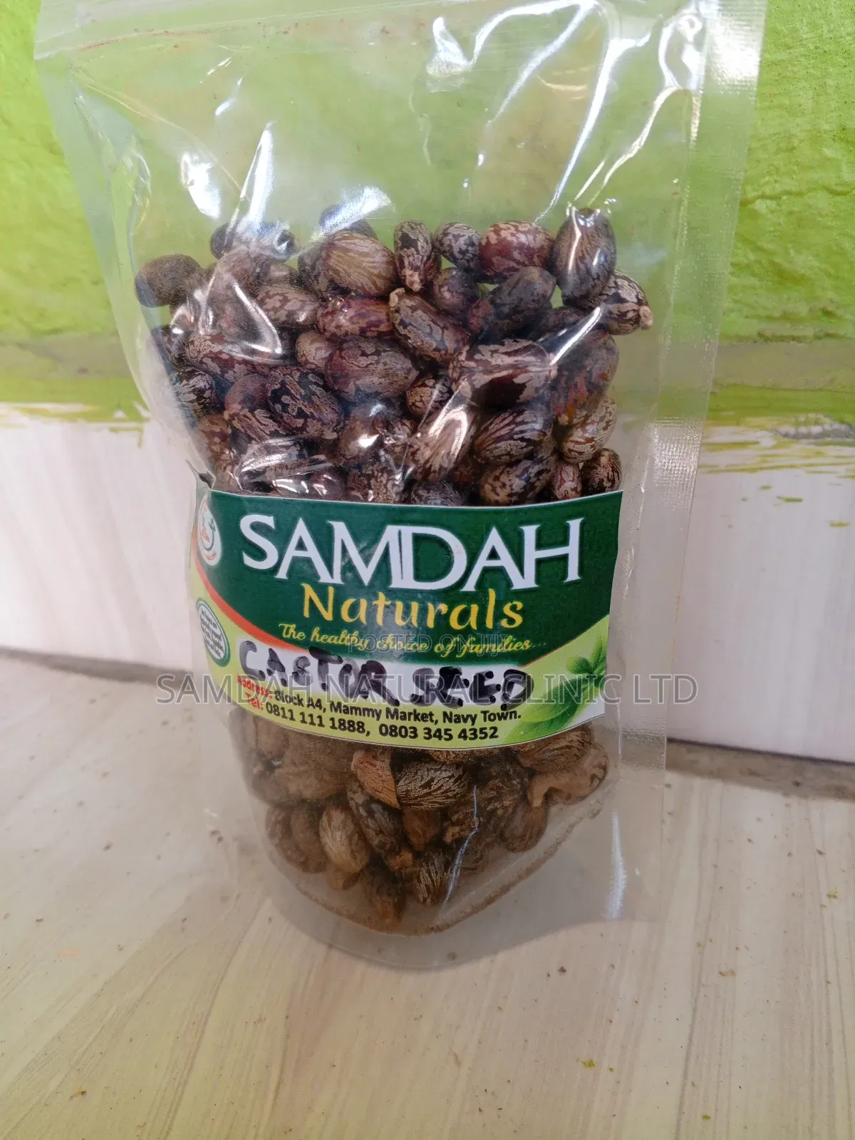 Castor Seed