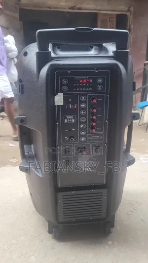 Portable Rechargeable Pa System Mlg1509 Inches, 60