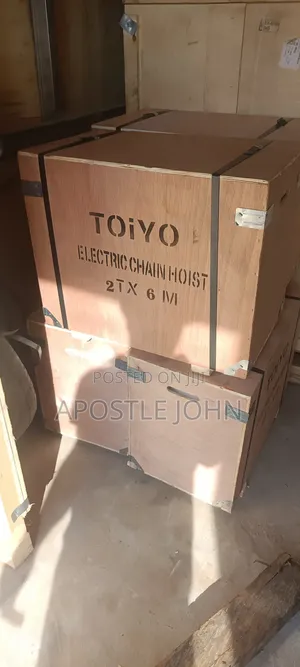 Electric Chain Hoist 2 Ton