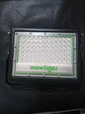 Wow Tiger Floodlights