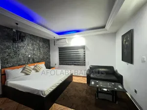 Big Studio Mini Flat