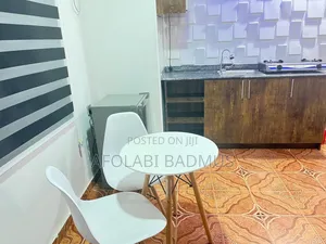 Big Studio Mini Flat