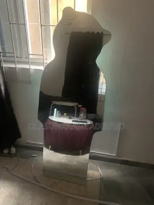 Mirror Panda Design