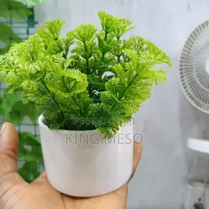 Ceramic Table Vase Available