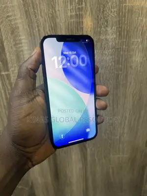 Apple iPhone 12 Pro Max 256 GB Blue