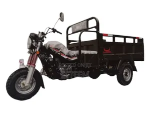 New Tricycle 2025