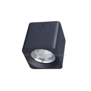 Parapet Lights