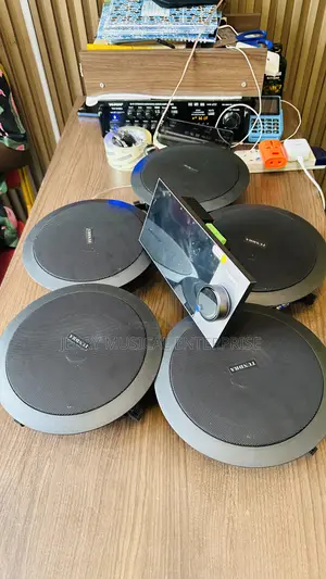 8inches Smart Wall Amplifier With Voice Command And Tuya App