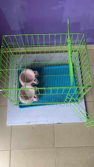 Collapsible Dog Cage All Sizes
