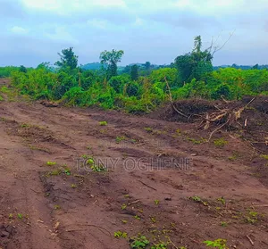 Half and Full Plots of Land for Sale in Ugwogo-Nike, Enugu