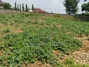 1500sqm Land for Sale