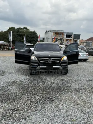 Mercedes-Benz M Class 2014 Black