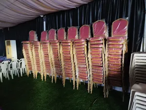 Banquet Chair in Bulk