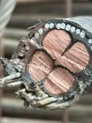 95mmx4core Flexible Armored Cable