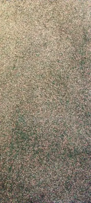 Marble Touch Effect