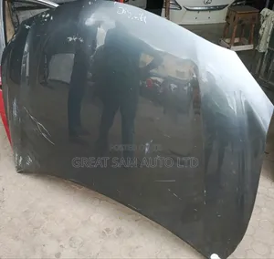 Toyota Camry 2010 Model Bonnet Neat One