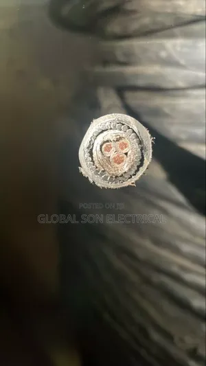 2.5mmx3core Armored Cable