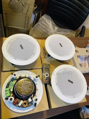 4 in One Bluetooth Ceiling Speaker With Remote