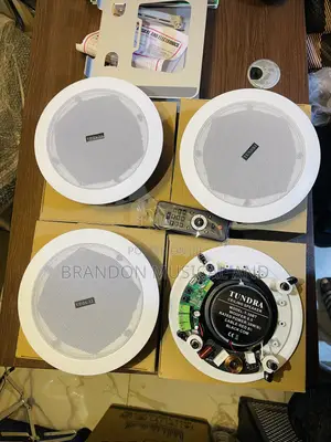 4 in One Bluetooth Ceiling Speaker With Remote