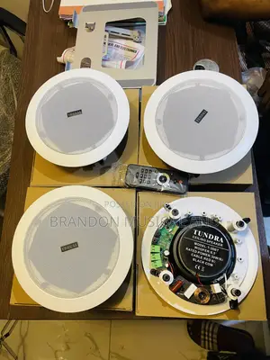 4 in One Bluetooth Ceiling Speaker With Remote