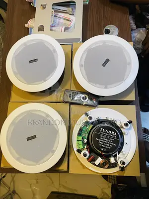 4 in One Bluetooth Ceiling Speaker With Remote