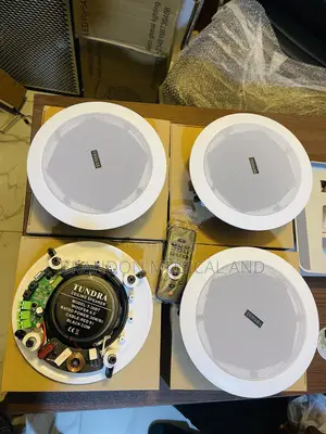 4 in One Bluetooth Ceiling Speaker With Remote