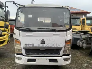 Foreign Used Howo Mini Truck