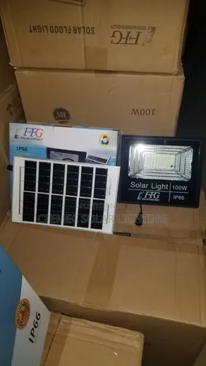 100w FFG Quality Solar Flood Light