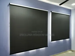 Roller With Day And Night Blinds