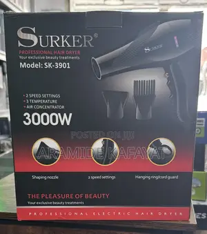Professional Hair Dryer