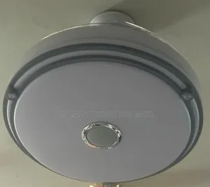 Fan Chandelier Lights