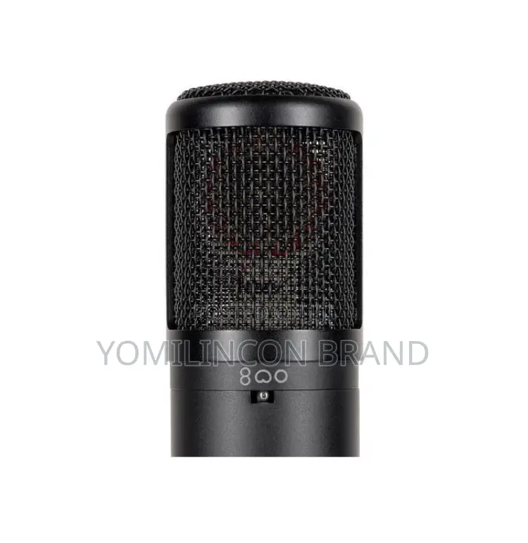 Se Electronics Se2300 Studio Condenser Microphone With Switchablepolar