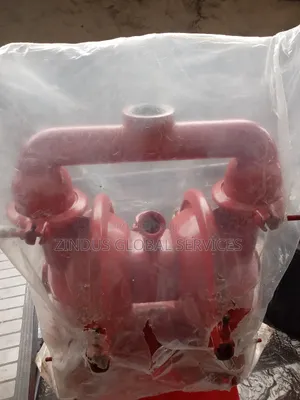 1" Stainless Diaphragm Wilden Pump