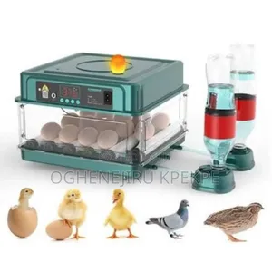 30 Eggs Incubator