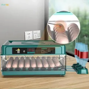 30 Eggs Incubator