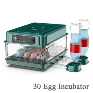30 Eggs Incubator