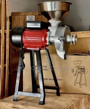 Wet And Dry Grinder