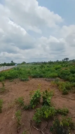 For Sale: Massive Land at Omagwa, Port Harcourt