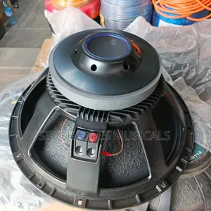 High Quality Glorik 18 Inches Naked Speaker