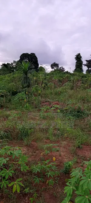 One Plot of Land