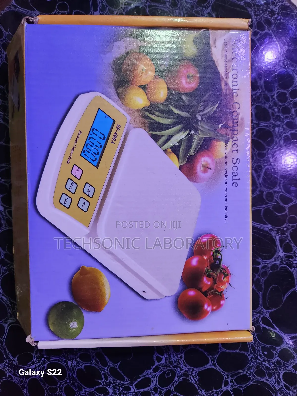 Electronic Compact Scale