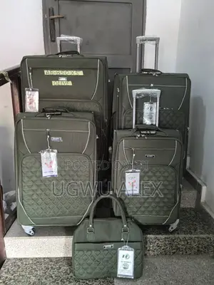 Adorable 5 in One Luggage