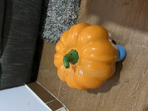 Foreign Potty Trainer for Toddlers
