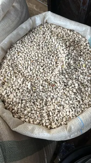 Iron Beans