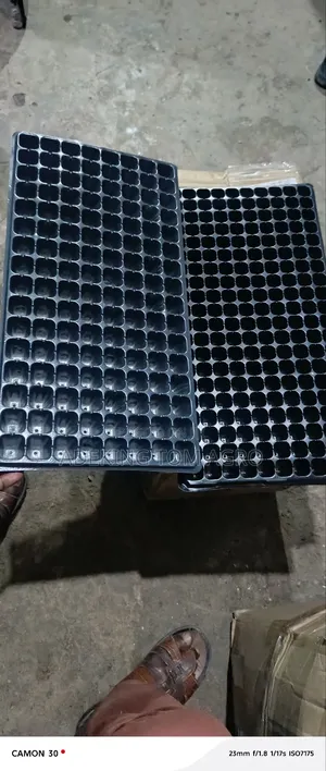 Seeding Tray